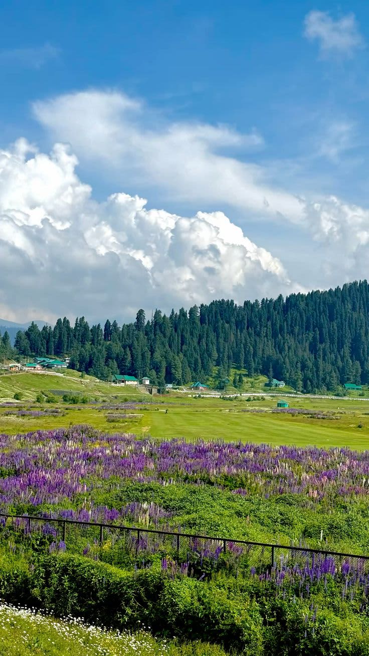 Gulmarg — destination