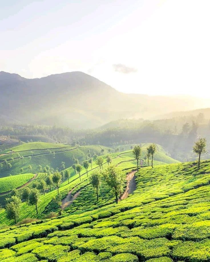 Coonoor — India travel destination