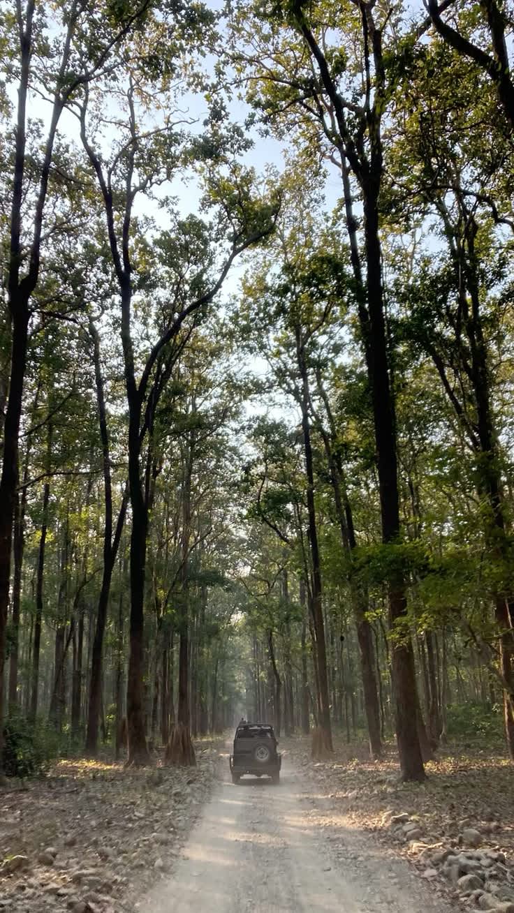 Jim Corbett National Park — India travel destination