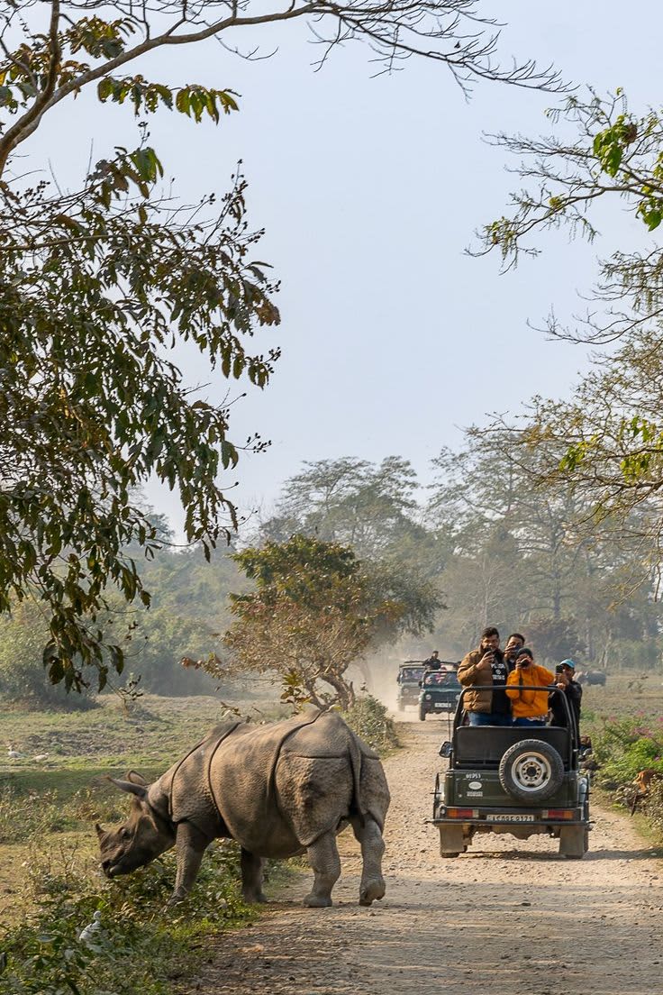 Kaziranga National Park — India travel destination