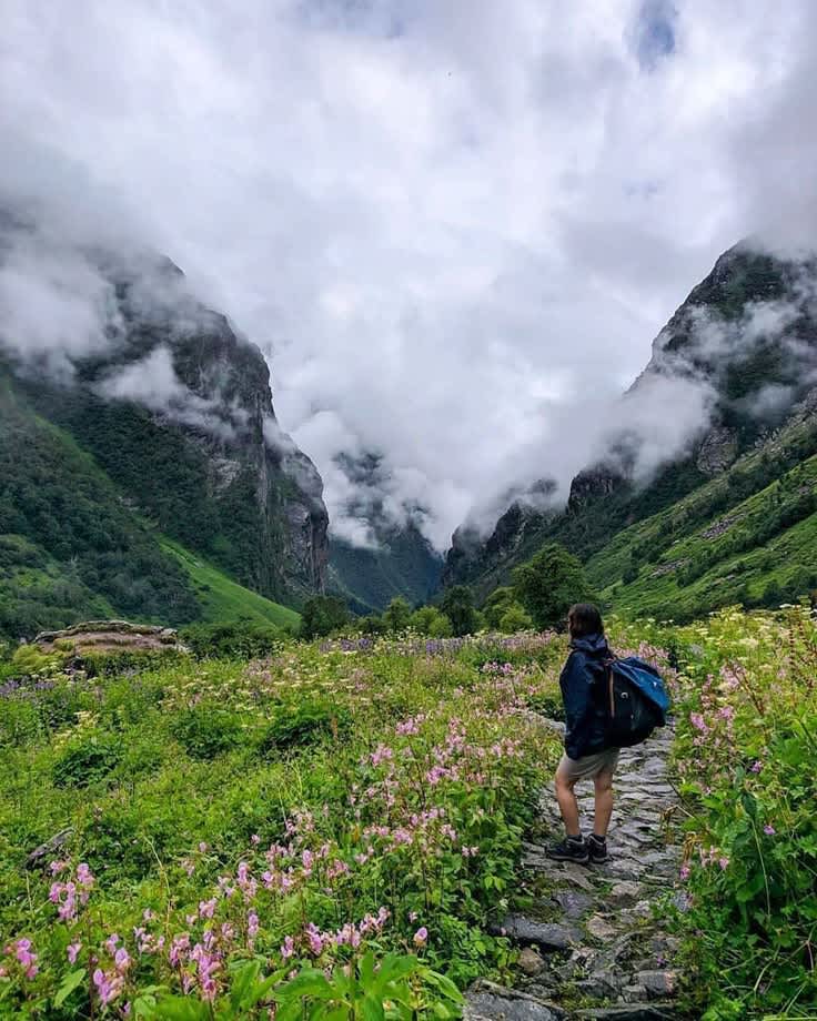 Valley of Flowers — India travel destination