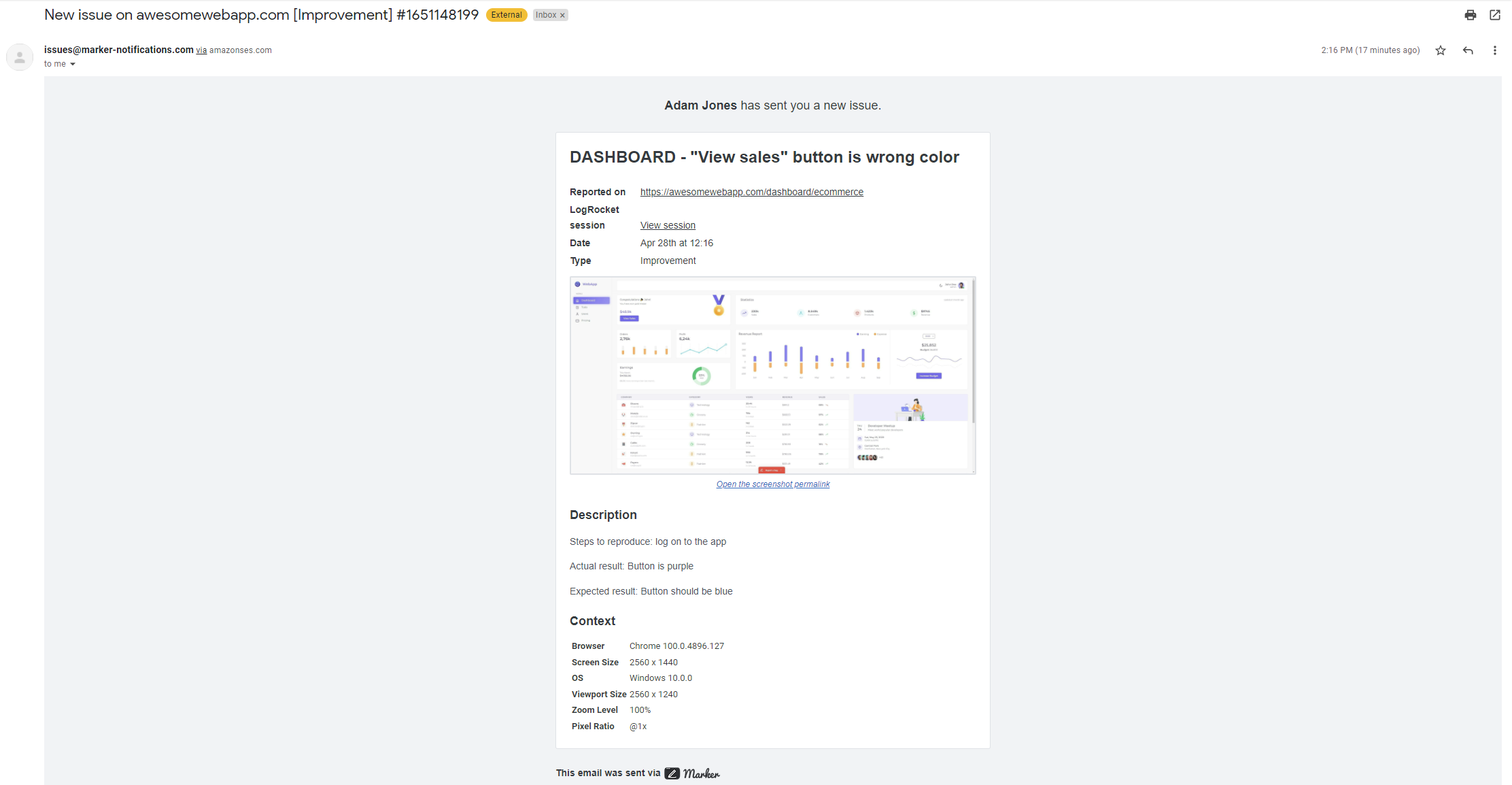 Sample bug report in email.