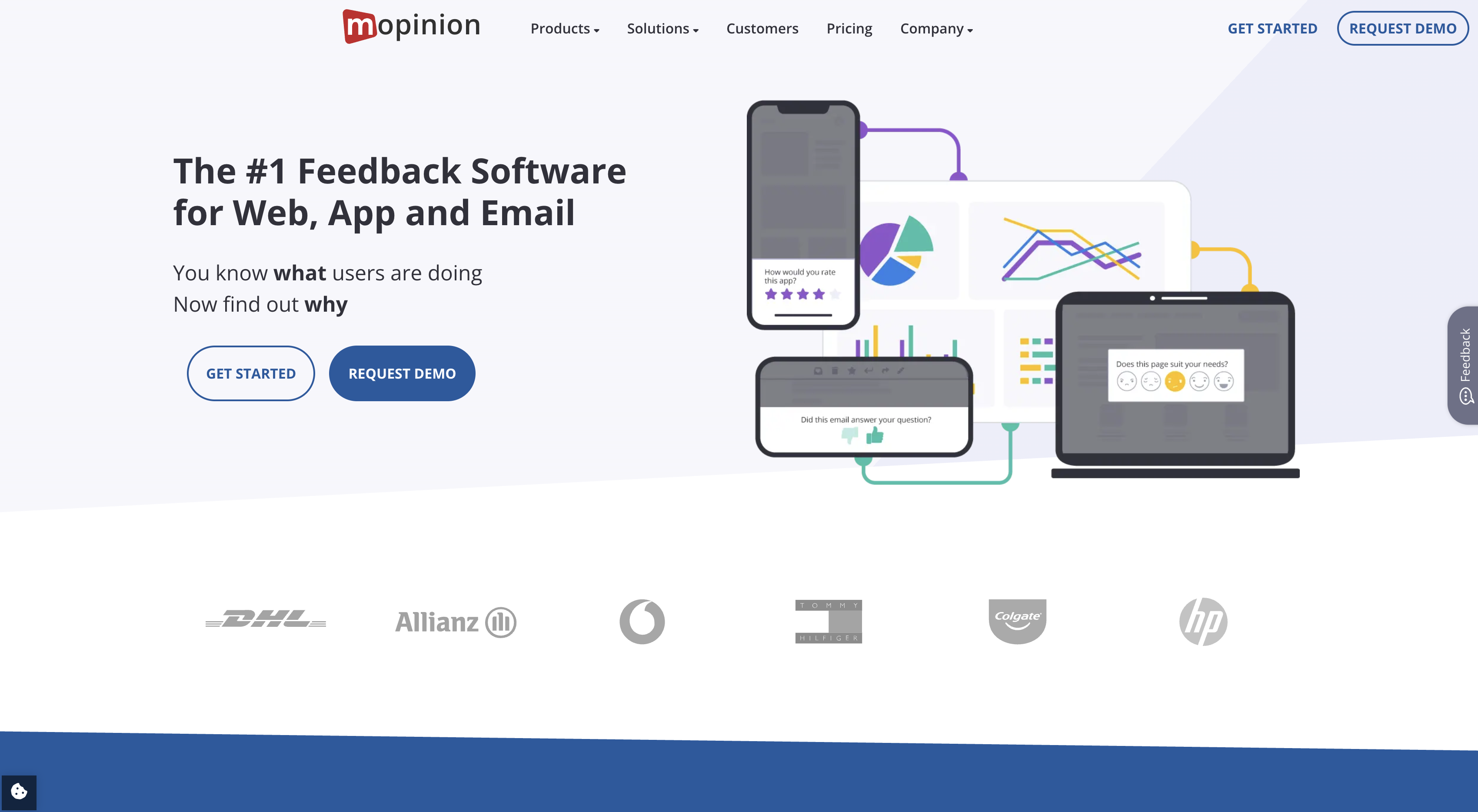 Screenshot of Mopinion homepage