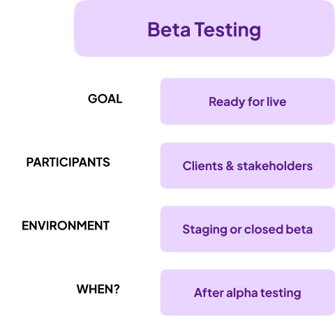 A high-level overview of beta testing goals, participants, environment, and timing.