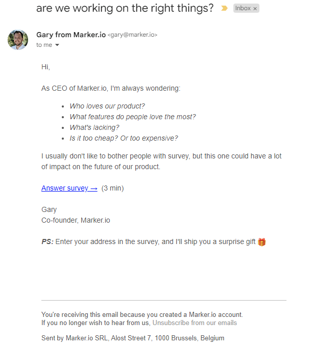 An example of an email survey sent by Marker.io.