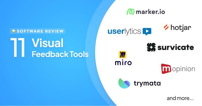 11 Best Visual Feedback Tools in 2026