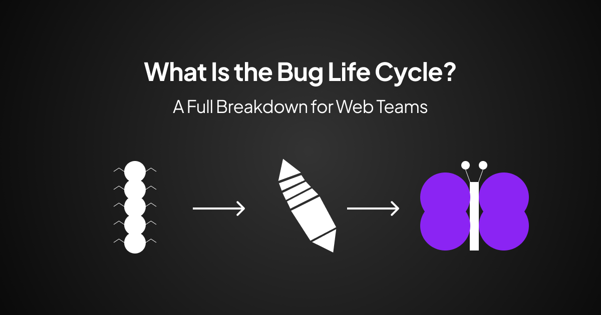 The Bug Life Cycle: Every Stage Explained For Software and Websites
