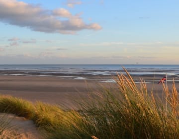 Rye and Beyond