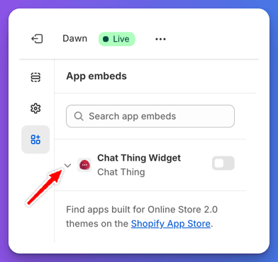 chat-thing-shopify-theme-extension-setup-1.png