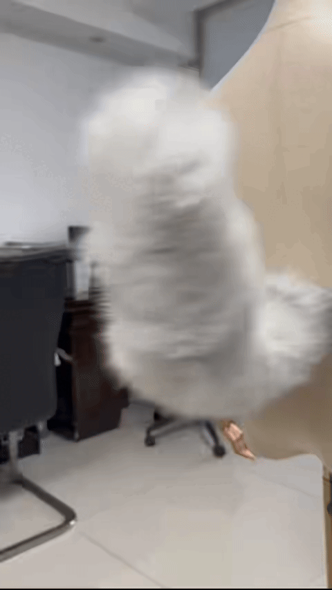 Moving cosplay tail gif