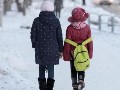 Из-за морозов в школах Саратова отменены занятия у 1-6 классов