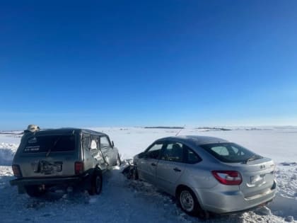 Два пенсионера на отечественных авто не поделили дорогу. Один из них в больнице