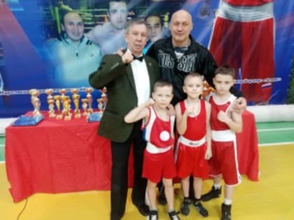 Турнир в Марксе принёс успех юным боксёрам Вольска
