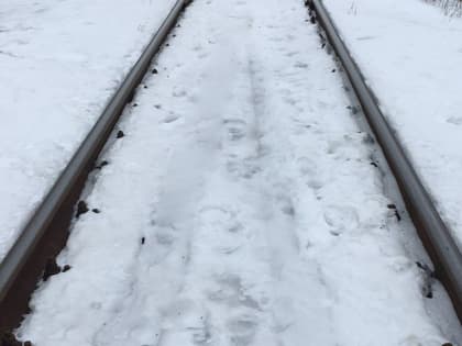 Под Саратовом тепловоз сбил мужчину. Он госпитализирован