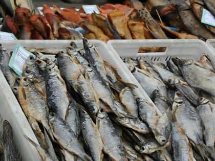 Саратовцев вновь приглашают на Театральную площадь за мясом и рыбой