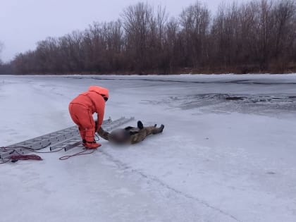 Саратовский рыбак угодил в майну на реке и погиб