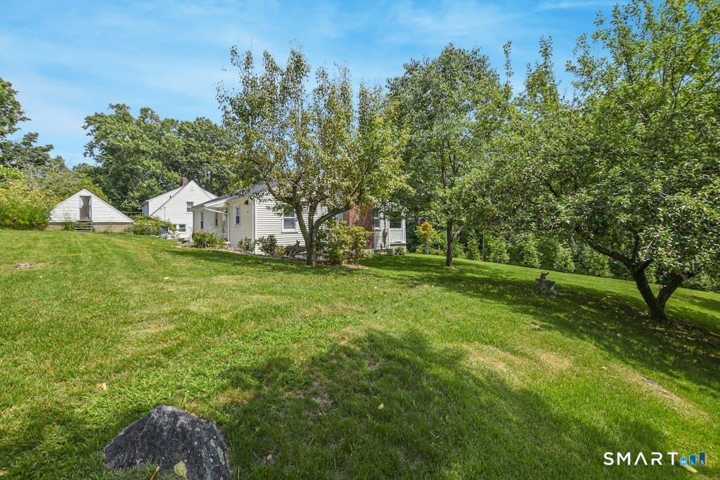 3 Wild Rose Road photo 17