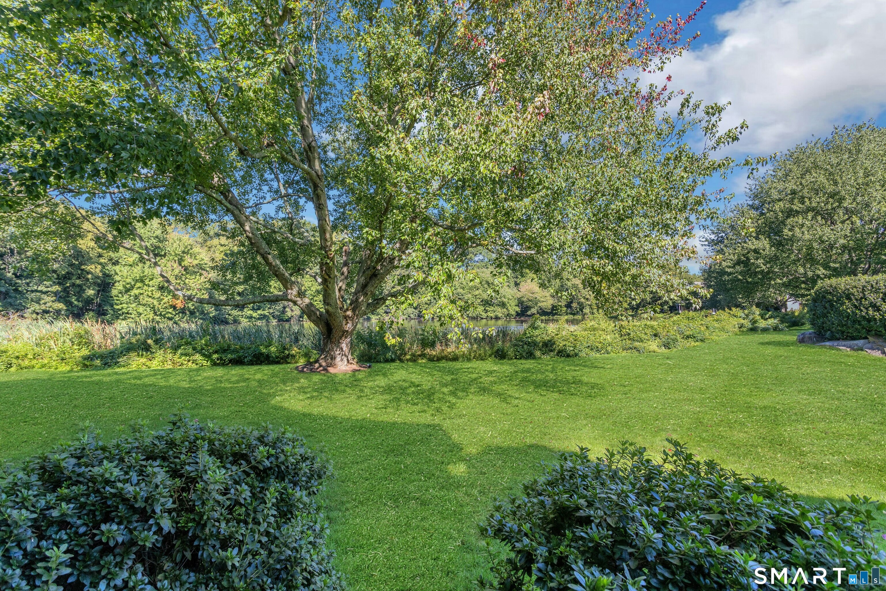 147 Rowayton Woods Drive #147 photo 17