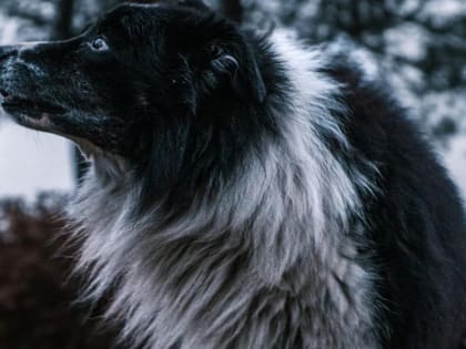 Приметы на 15 марта: будьте начеку – 10 запретов, о которых не говорят