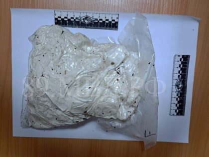 В ЯНАО женщина хотела подзаработать на наркоторговле