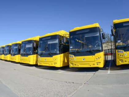 В муниципалитетах Ямала обновят автобусные парки