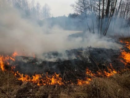 На Ямале действует особый противопожарный режим