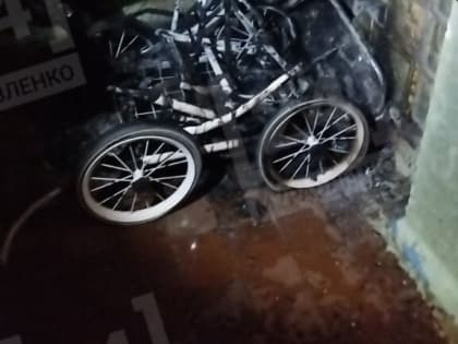 Полицейские разыскивают поджигателей детских колясок