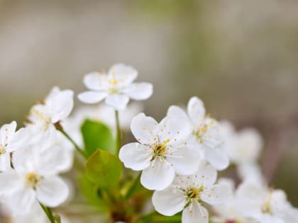 Погода в Салехарде: синоптики рассказали, ждать ли дождя в воскресенье