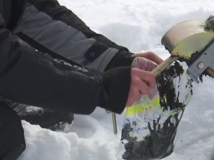 Насколько безопасны воды и берега? Ученые изучают озеро Лебяжье в Салехарде