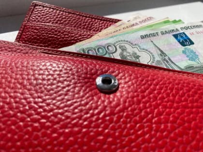 Более 800 ямальских семей получают ежемесячную выплату из средств маткапитала