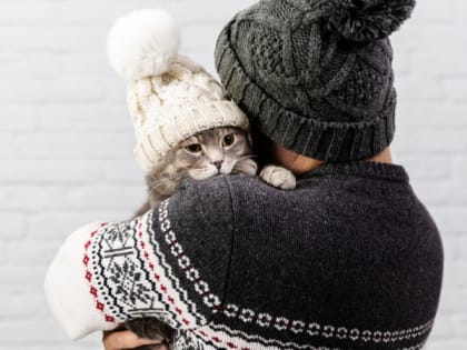 Погода в Салехарде: ветреный день пообещали синоптики 12 марта