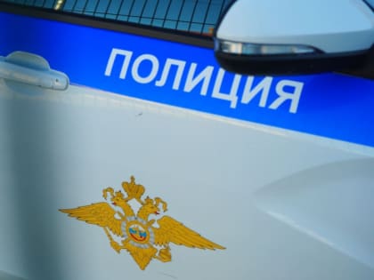 На Ямале полицейские поймали пьяного подростка за рулем снегохода