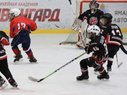 Ямальские хоккеисты примут участие в матчах в рамках первенства Уральского, Сибирского и Приволжского федеральных округов по хоккею среди юношей до 12 лет в Омске