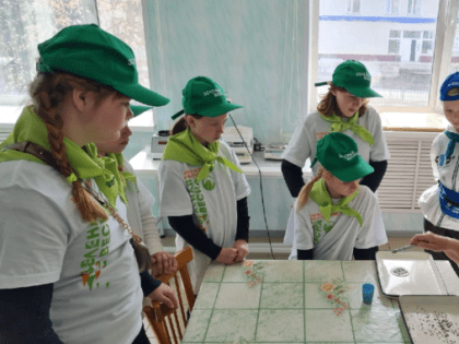 Школьницы из Ноябрьска заняли призовые места в конкурсе, посвященном лесному хозяйству