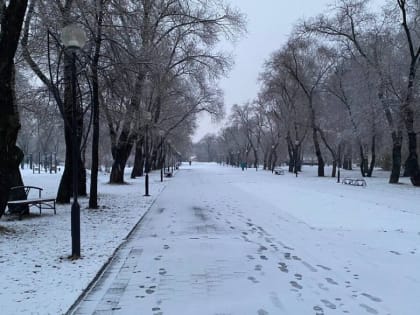 В Салехарде наблюдаются трудности с вывозом мусора