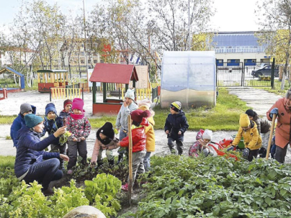 «Мы посадим огород!»