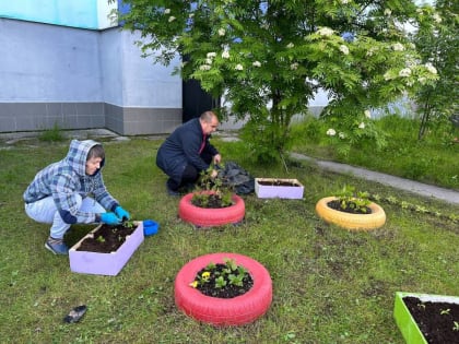 Губкинские единороссы высадили более 200 растений в клумбы у многоквартирных домов