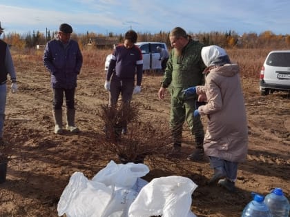 На епархиальном поле высадили 600 ягодных кустов