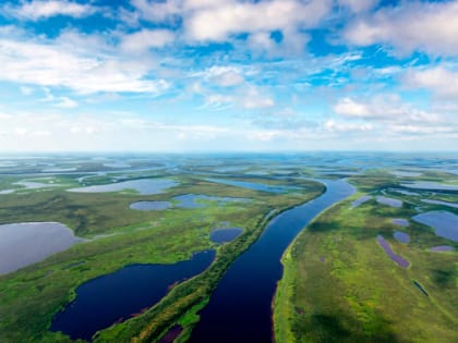 Озёрная рыба ﻿и научный подход