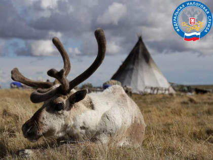 Налоговая служба Ямала приглашает налогоплательщиков – представителей организаций агропромышленного комплекса на выездной семинар по актуальным вопросам налогообложения