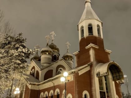 Дмитрий Артюхов: Пусть Рождество Христово станет источником сил и вдохновения