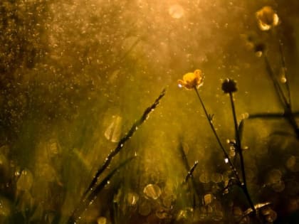 Погода в Салехарде: лето начнется с осадков