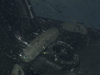 Осторожно, снег на крыше! В Салехарде осадки с кровли повредили автомобиль