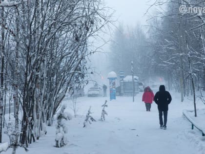 Несколько человек получили обморожение в праздники в Ноябрьске
