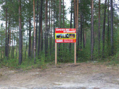 На Ямале введен особый противопожарный режим