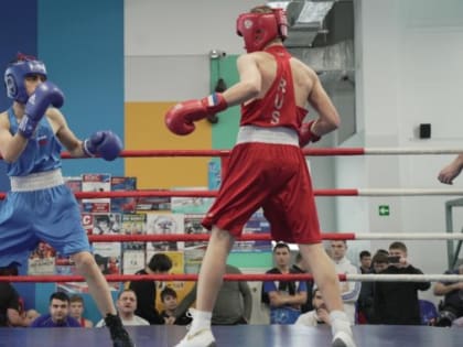 Свыше сотни спортсменов УрФО приедут в Ноябрьск на первенство по боксу