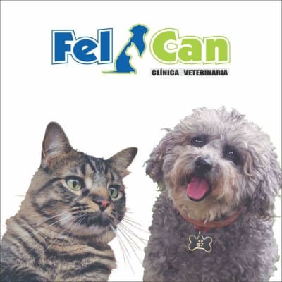 Clinica veterinaria FelCan