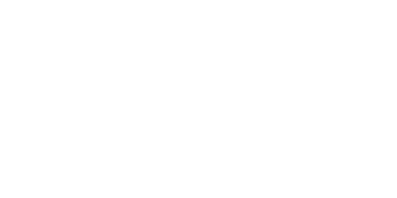 Logo Ferrosider