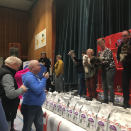 Kattenshow 11 Februari 2024 - Arendonk