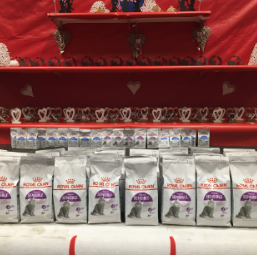 Kattenshow 11 Februari 2024 - Arendonk